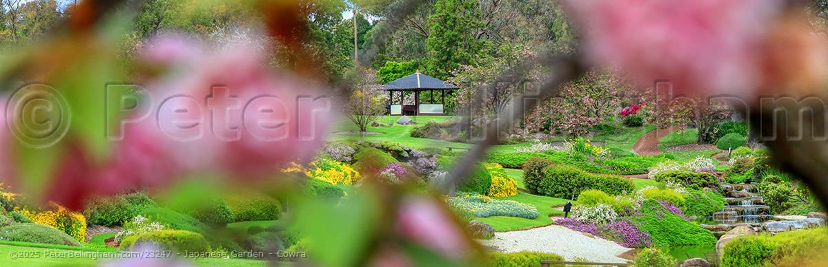 Peter Bellingham Photography Japanese Garden - Cowra